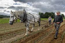 Patrice OLIVIER - PATRICE OLIVIER